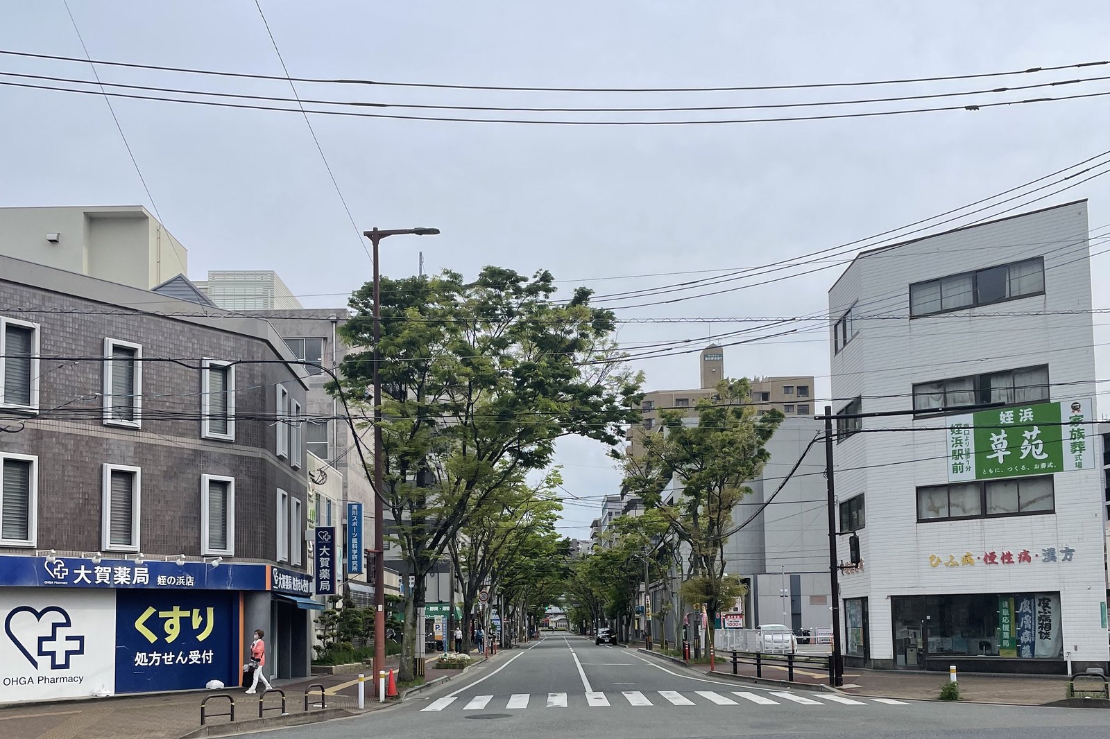 福岡県内の街並み。並木道沿いに薬局や店舗が並ぶ通り